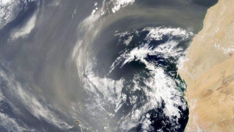 A transatlantic flight could turn Saharan dust into a major ocean nutrient